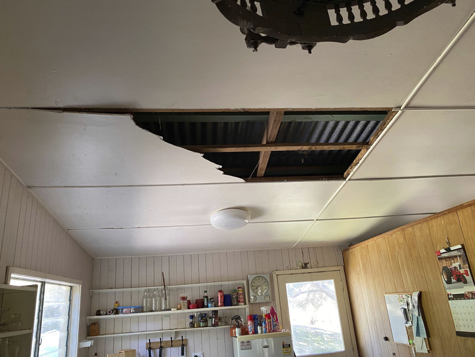 Australia Snakes in the Ceiling